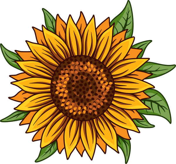 Подсолнух для детей