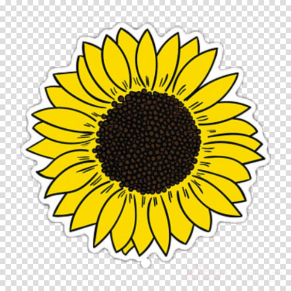 Наклейка - Подсолнухи