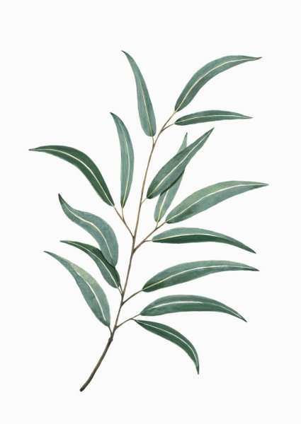 Листья акварель