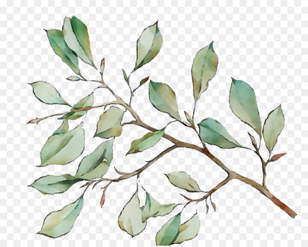 Листья акварель