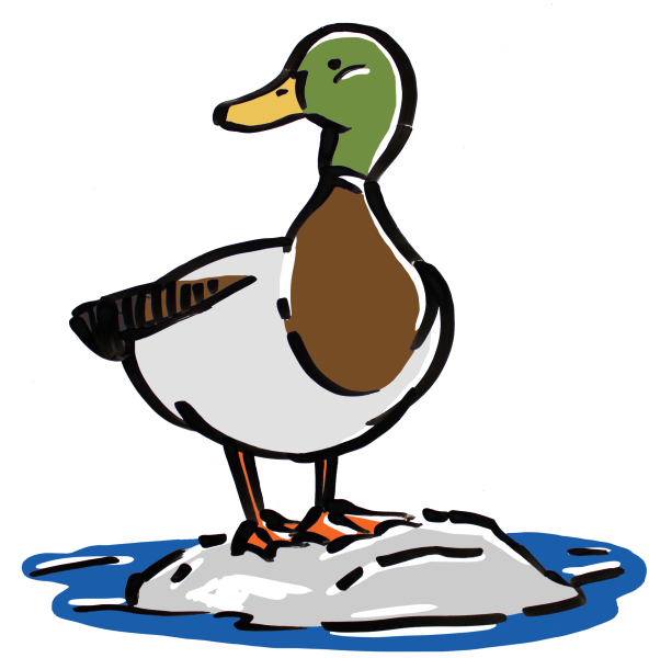 Утка мультяшная