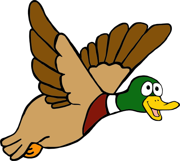 Мультяшные птицы