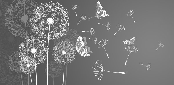 Фотообои одуванчик