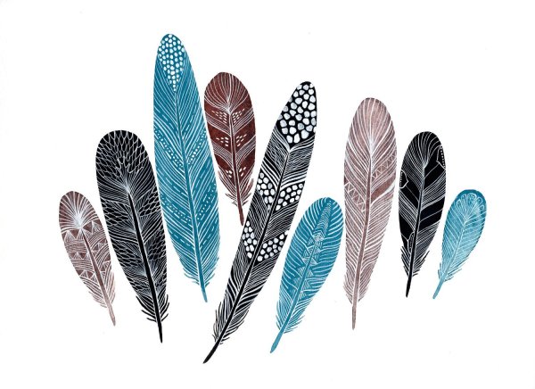 Красивое перо