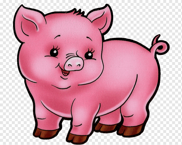 Свинья для детей