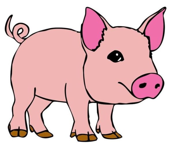 Нарисовать свинью