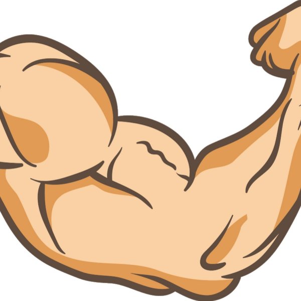 Мускулы нарисованные