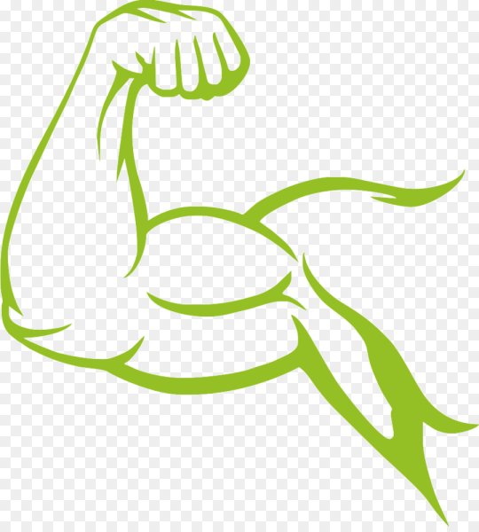 Мускулы вектор