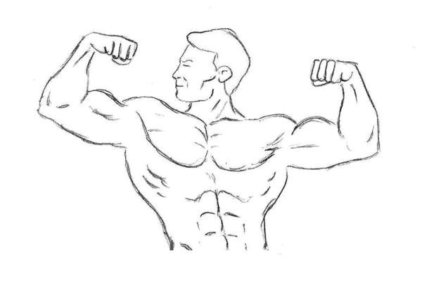 Бицепс нарисованный