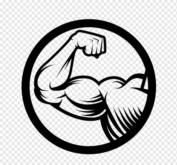 Мышцы иконка