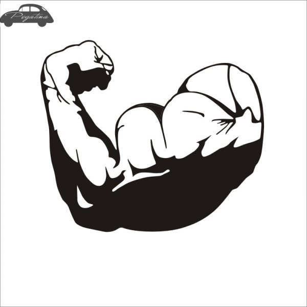 Бицепс иллюстрация