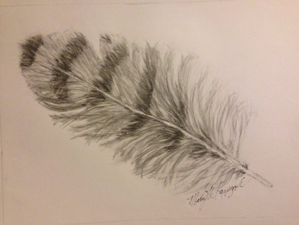 Перо Совы тату