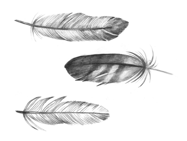 Перо для рисования