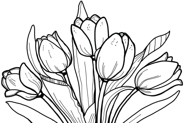 Букет раскраска