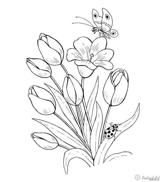 Букет цветов расскраск