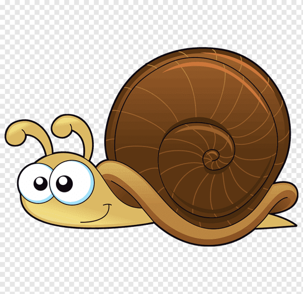Снейл с улиткой