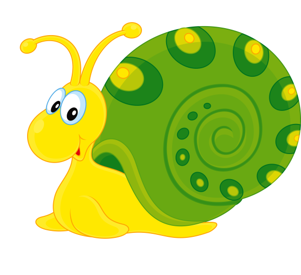 Улитка картинка на белом фоне