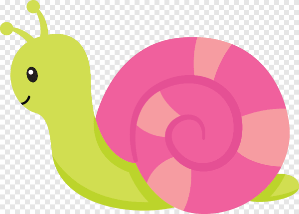 Улитка картинка для детей на прозрачном фоне