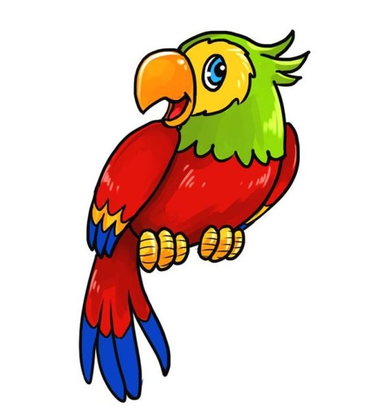 Попугай мультяшный