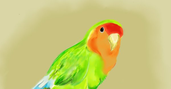 Неразлучники карандашом