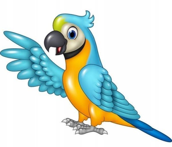 Попугай картинка для детей
