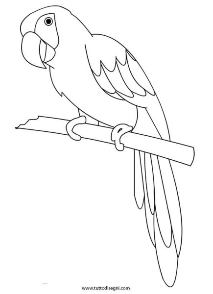 Попугай трафарет