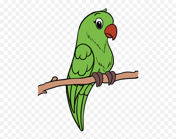 Parrot для детей
