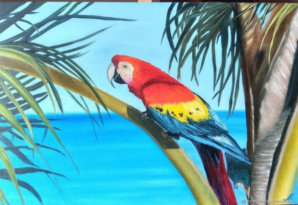 Картина попугай