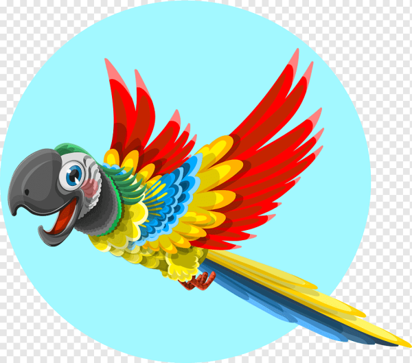 Попугай мультяшный