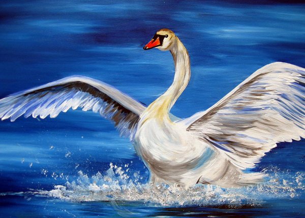 Лебедь рисунок