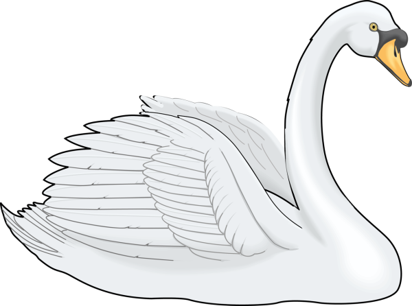 Лебедь карандашом
