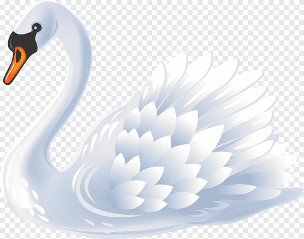 Лебедь рисунок