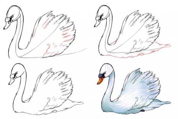 Рисунок лебедя для срисовки