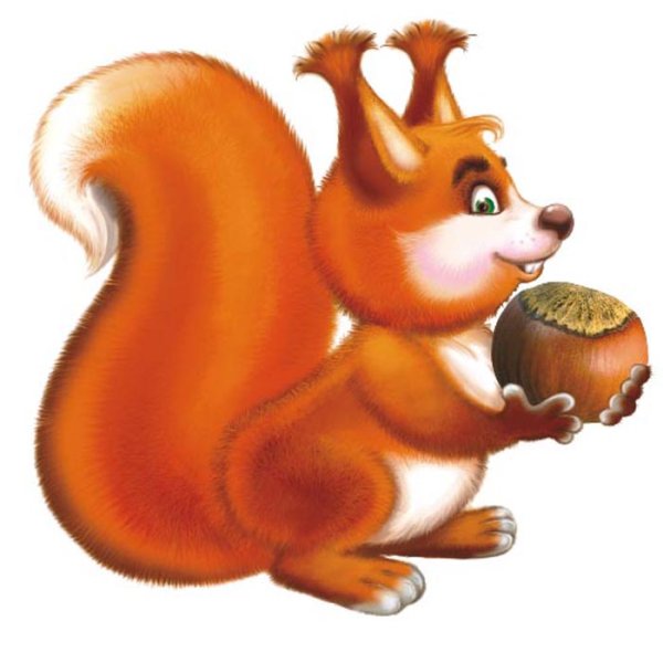 Смешная белка