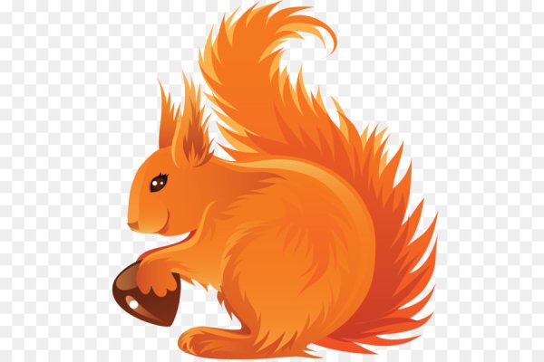 Изображение белочки для детей