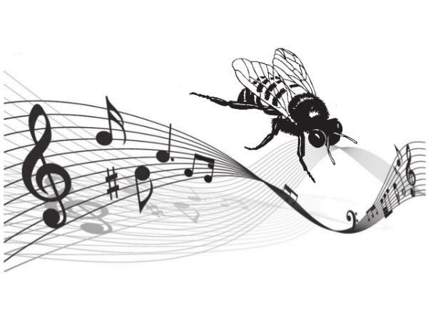 Композиция полет шмеля