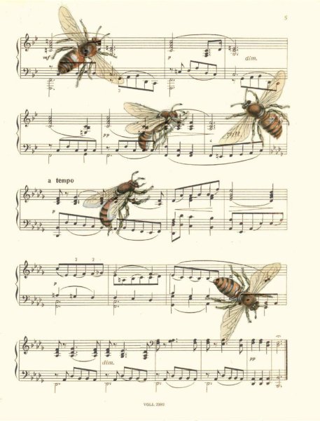 Картинки для декупажа Ноты