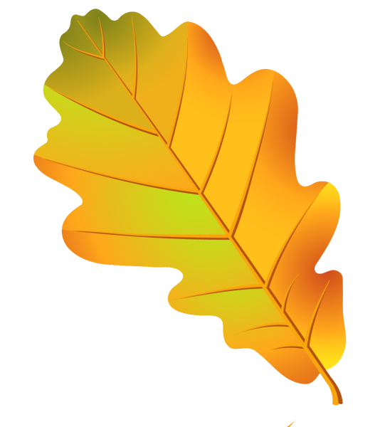 Осенние листья