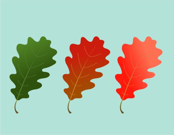 Разноцветный дубовый лист