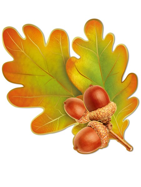 Осенний дубовый лист
