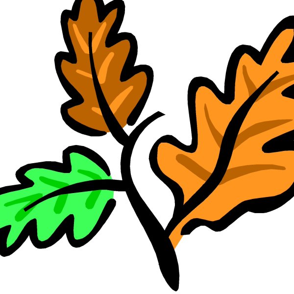 Нарисовать дубовый лист