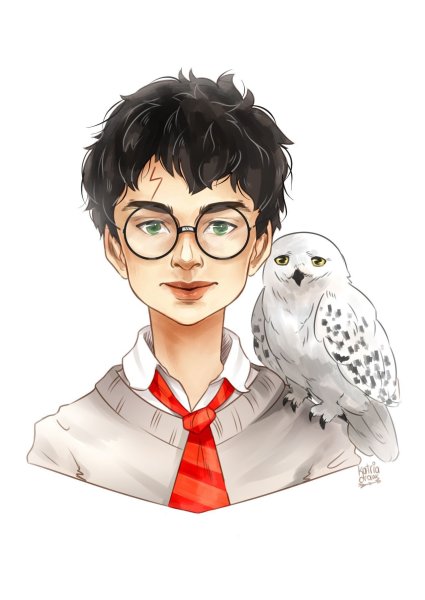 Хедвиг Гарри Поттер арт