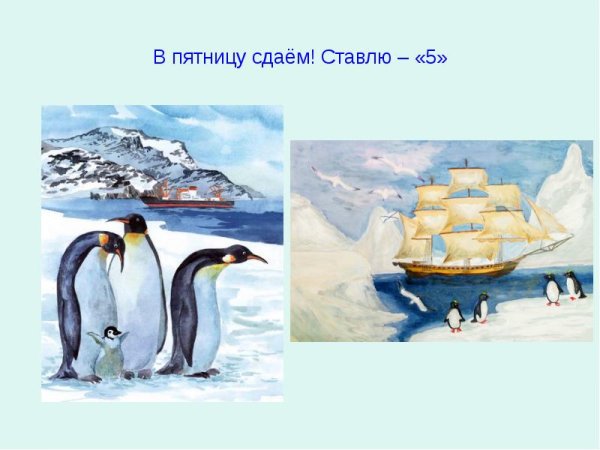 Иллюстрации по теме Антарктида