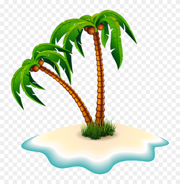 Пальма на прозрачном фоне
