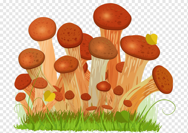 Гриб мультяшный