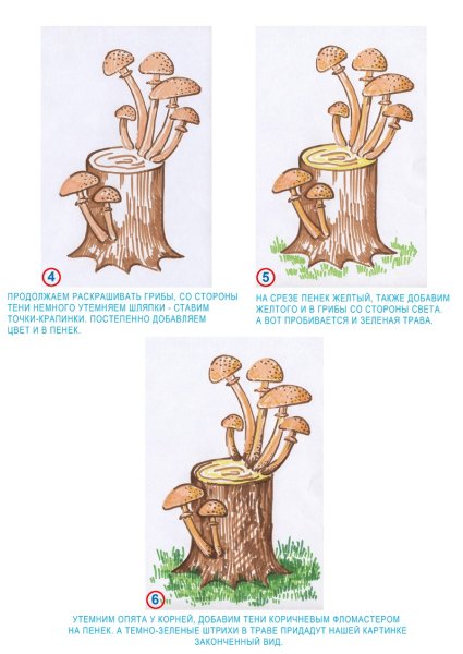 Съедобный гриб опенок нарисовать