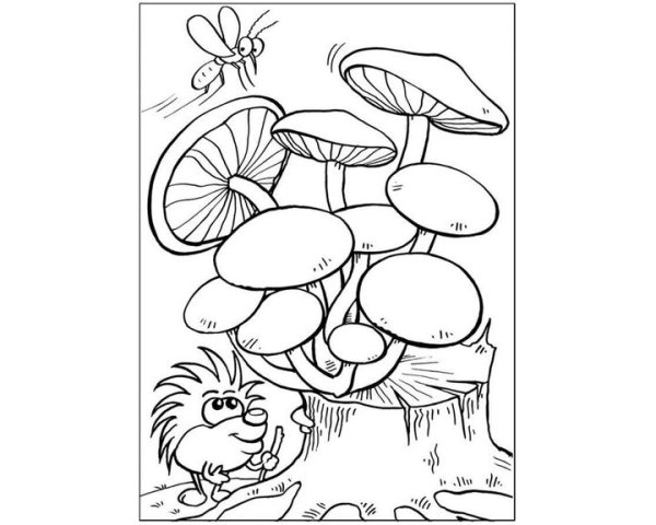 Раскраска гриб ложные опята