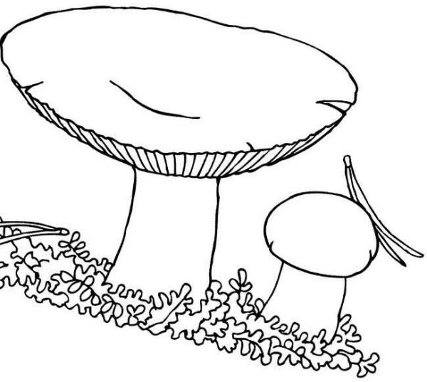 Маска гриб сыроежка