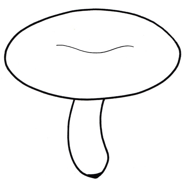 Сыроежка гриб