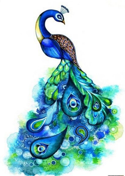 Сказочная птица